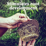 Plant Growth Enhancer Supplement- Root Enhancer For Plants, Best Organic Supplement For Gardening & Outdoor plants, Home & kitchen Gardening | Each 50ml (Pack of 2)